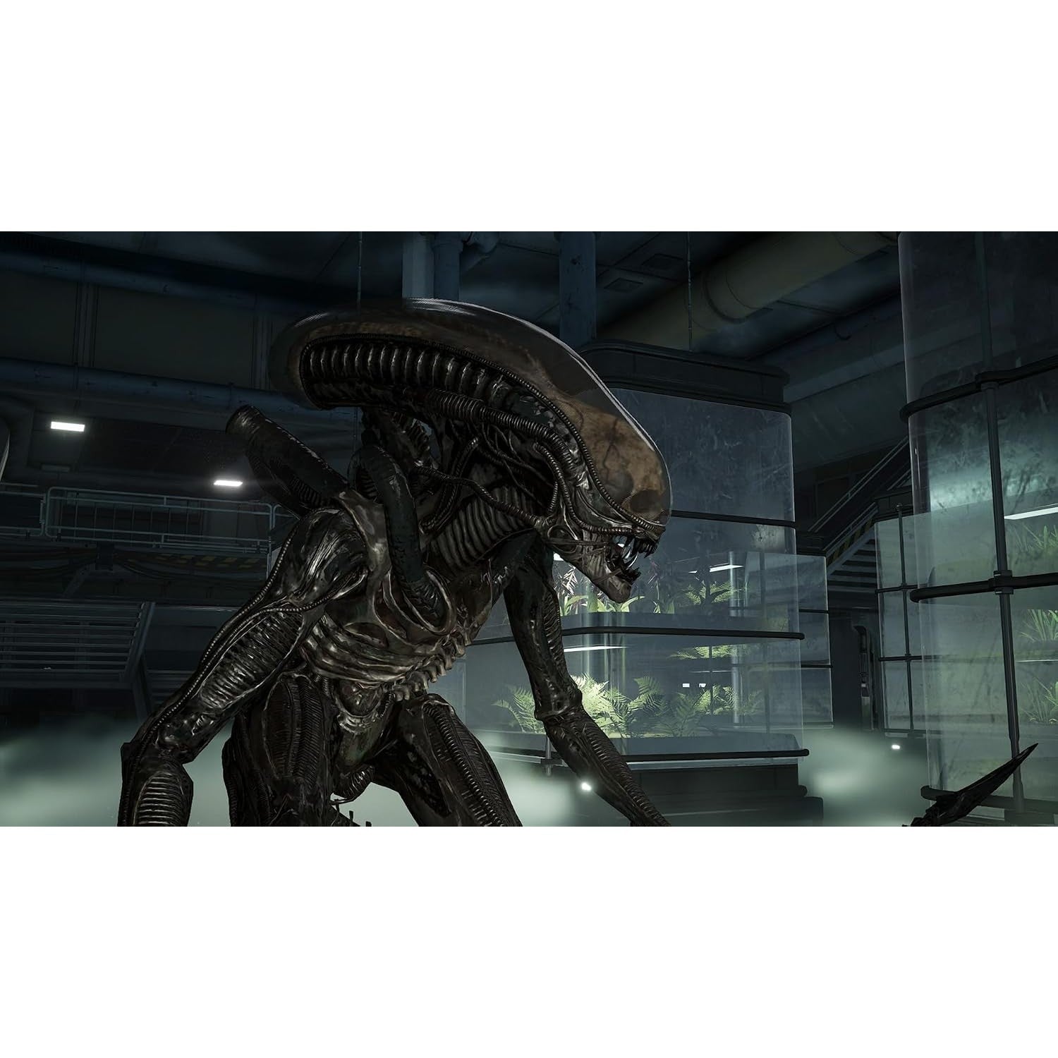【予約前日出荷】[Switch2] ALIENS: FIRETEAM ELITE 2(エイリアン:ファイアーチーム エリート2) 3goo(20261112)