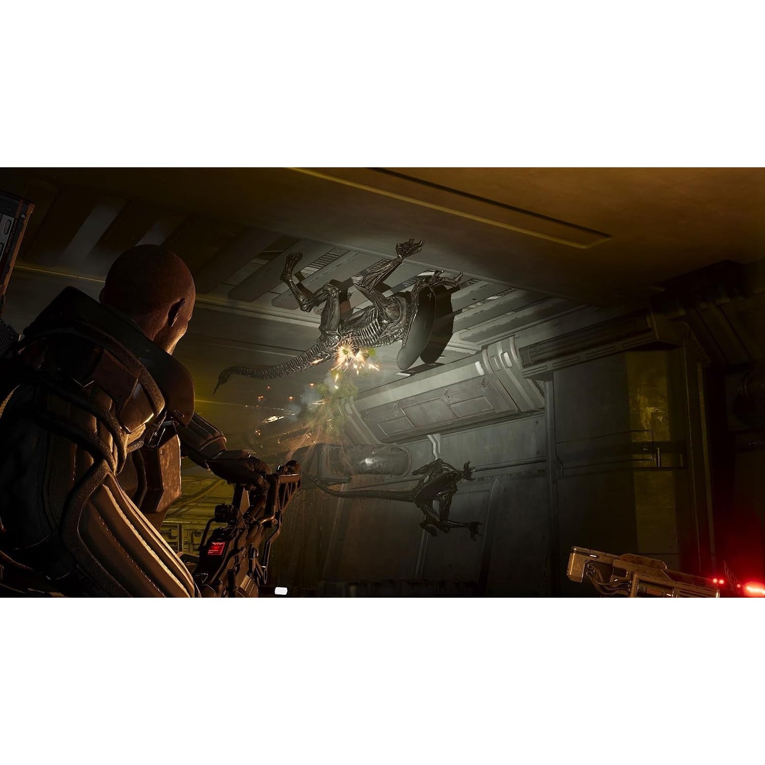 【予約前日出荷】[Switch2] ALIENS: FIRETEAM ELITE 2(エイリアン:ファイアーチーム エリート2) 3goo(20261112)