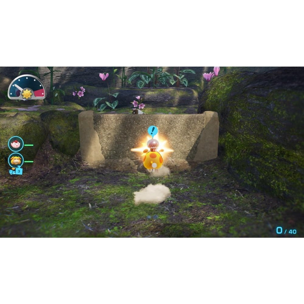 【予約前日出荷】[Switch2] Pikmin 4 Nintendo Switch 2 Edition(ピクミン4 ニンテンドースイッチ2エディション) + だれでもチャレンジ! ダンドリ検定 任天堂(20261112)