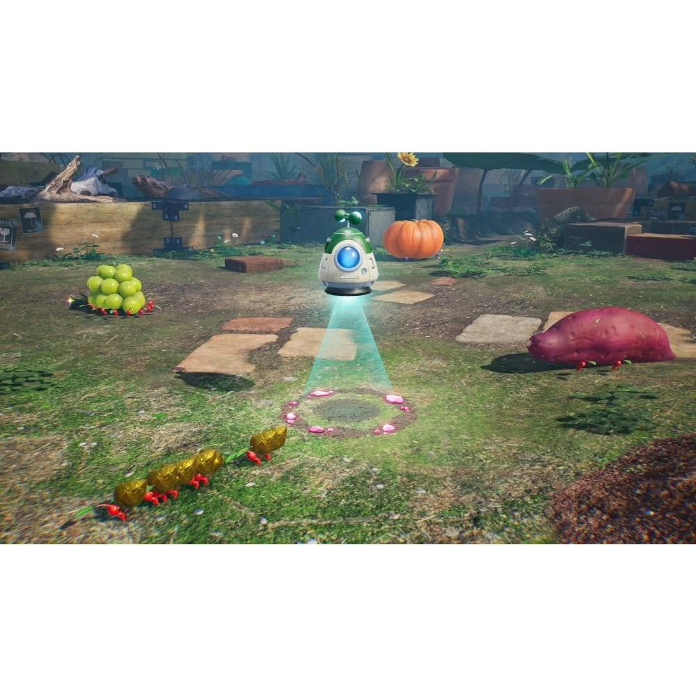【予約前日出荷】[Switch2] Pikmin 4 Nintendo Switch 2 Edition(ピクミン4 ニンテンドースイッチ2エディション) + だれでもチャレンジ! ダンドリ検定 任天堂(20261112)
