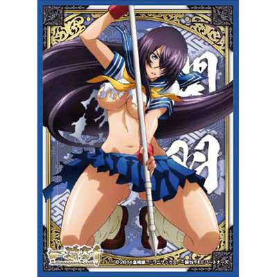 【新品即納】[TCG] キャラクタースリーブ 一騎当千 Extravaganza Epoch 関羽雲長(EN-047) エンスカイ(20150515)