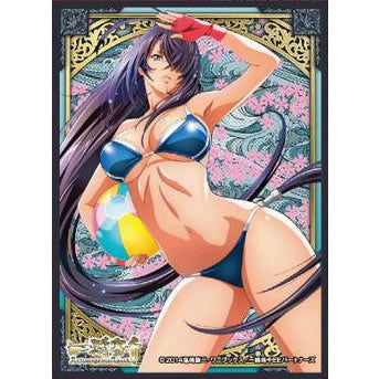 【新品即納】[TCG] キャラクタースリーブマット 一騎当千 Extravaganza Epoch 関羽雲長(B)(ENM-008) エンスカイ(20150612)