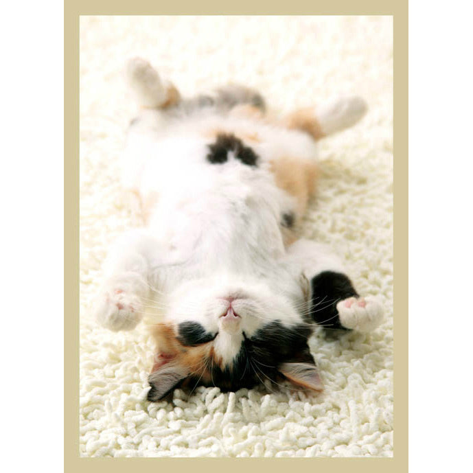 【新品即納】[TCG] キャラクタースリーブコレクション 「三毛猫」 ブロッコリー(20150813)
