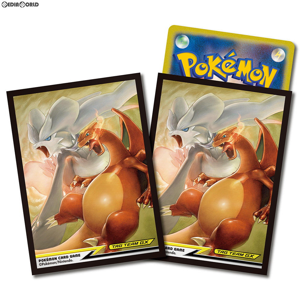 【新品即納】[TCG] ポケモンカードゲーム デッキシールド レシラム&リザードン TAG TEAM GX(タッグチームGX)(20190301)