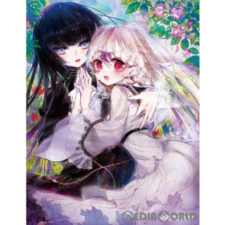 【新品即納】[カートン][TCG] DIVINE CROSS(ディヴァインクロス) エヴァーメイデン 〜堕落の園の乙女たち〜 Vol.2 ブースターパック(6BOX) (20240329)