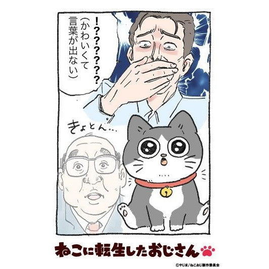 【新品即納】[TCG] (カートン) ブシロード トレーディングカード コレクションクリア ねこに転生したおじさん ブシロード(24BOX)(20250411)