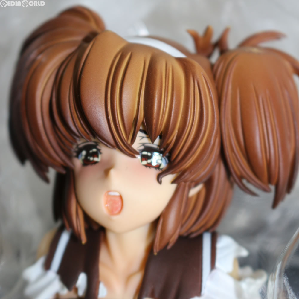 【中古即納】[FIG] 永沢礼子(ながさわれいこ)～極限～ 姦-KAN- 1/6 完成品 フィギュア 岡山フィギュア(20140903)