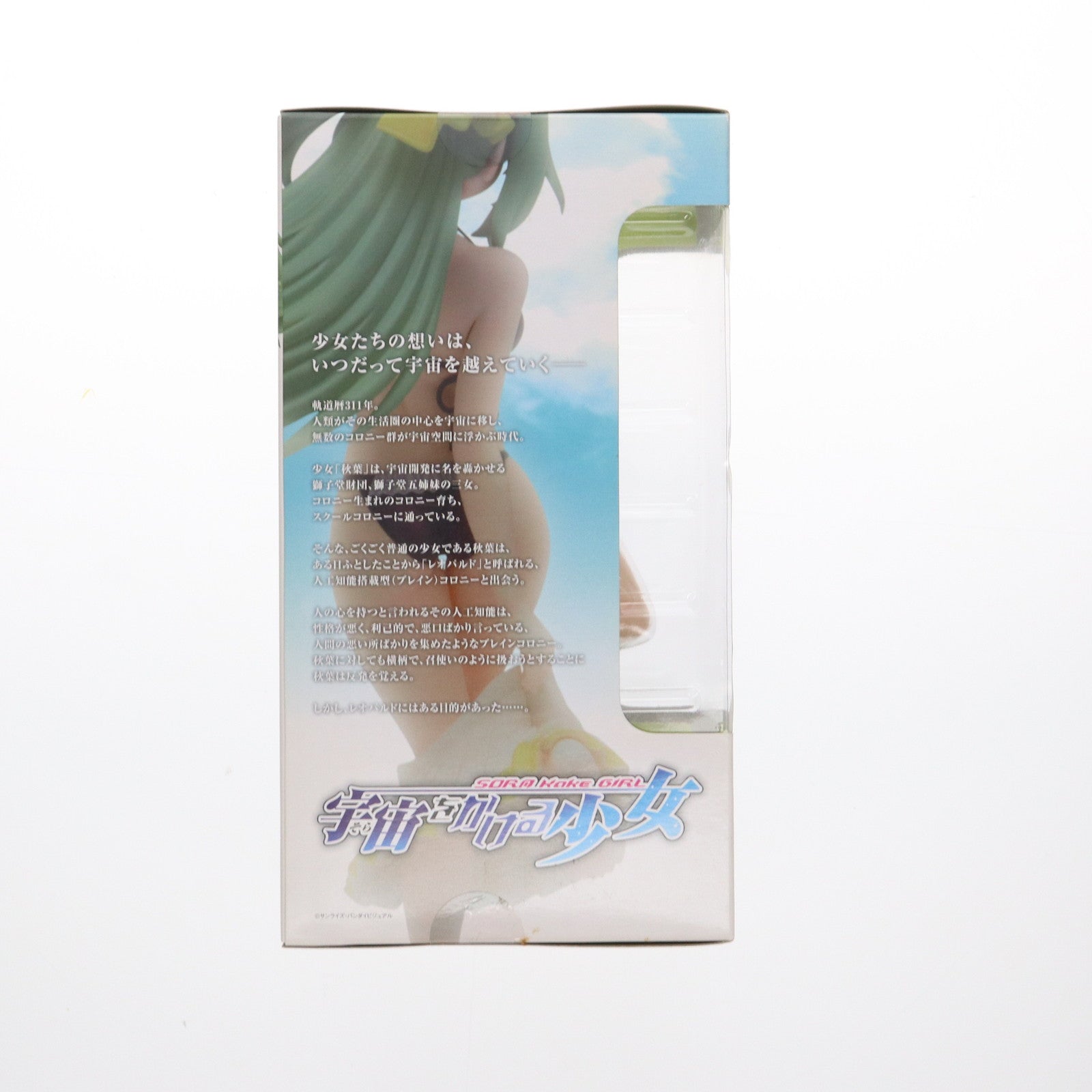 【中古即納】[FIG] 宮沢模型流通限定 BEACH QUEENS(ビーチクイーンズ) 下山むつみ(しもやまむつみ) 宇宙をかける少女 1/10 完成品 フィギュア(NF-37) ウェーブ(WAVE)(20091126)