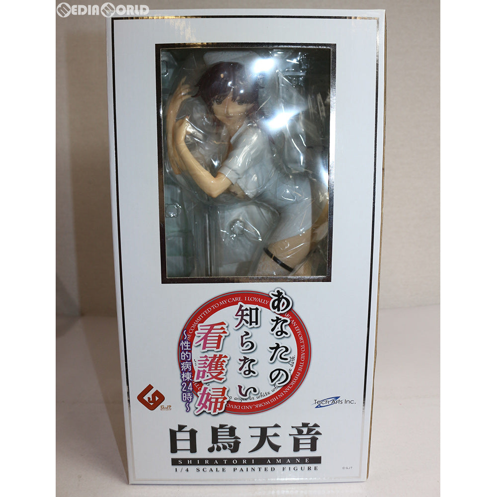 【中古即納】[FIG] 白鳥天音(しらとりあまね) あなたの知らない看護婦～性的病棟24時～ 1/4 完成品 フィギュア FREEing(フリーイング)(20111229)