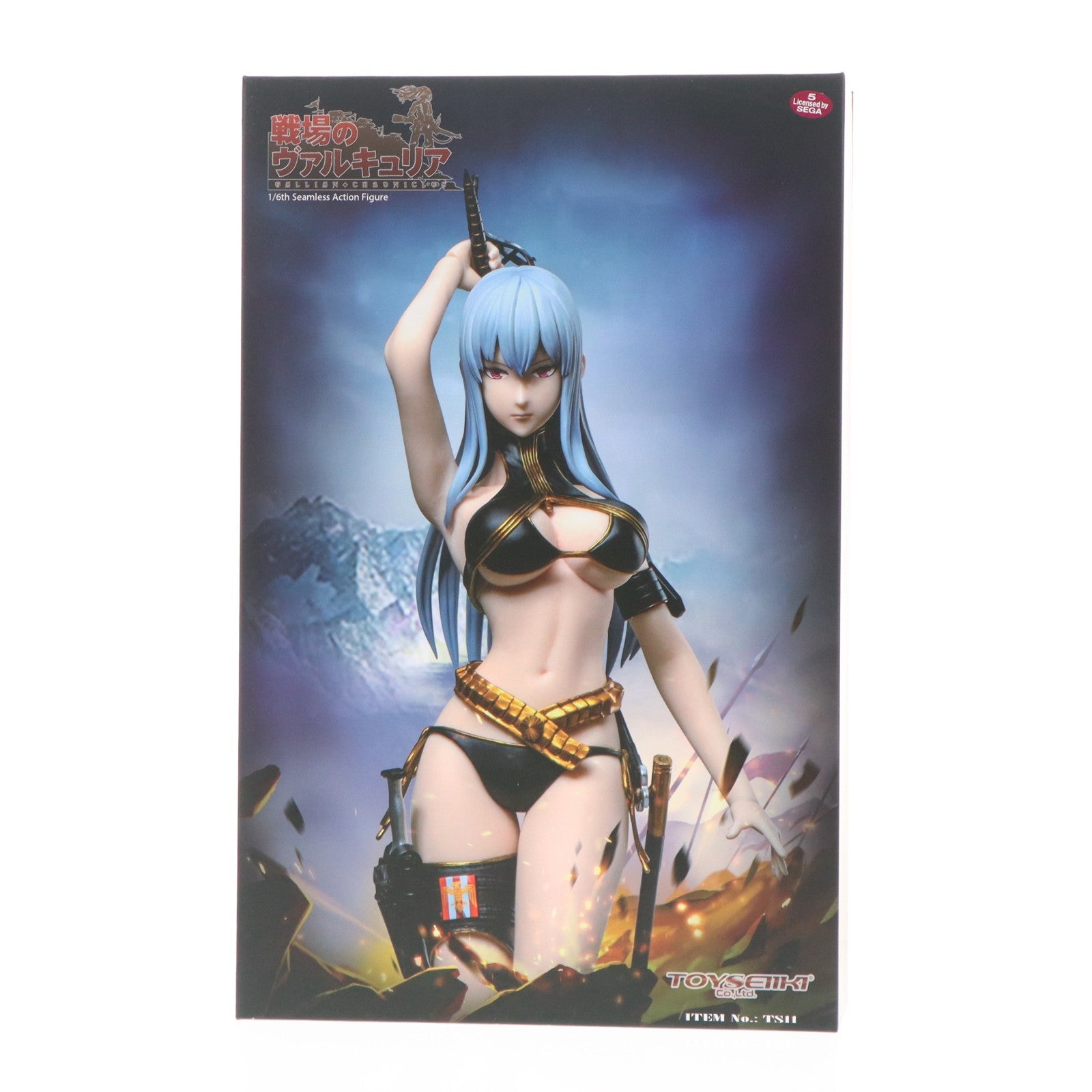 【中古即納】[FIG] セルベリア・ブレス 戦場のヴァルキュリア 1/6 完成品 シームレスアクションフィギュア TOYSEIIKI(トイセイイキ)(20200905)