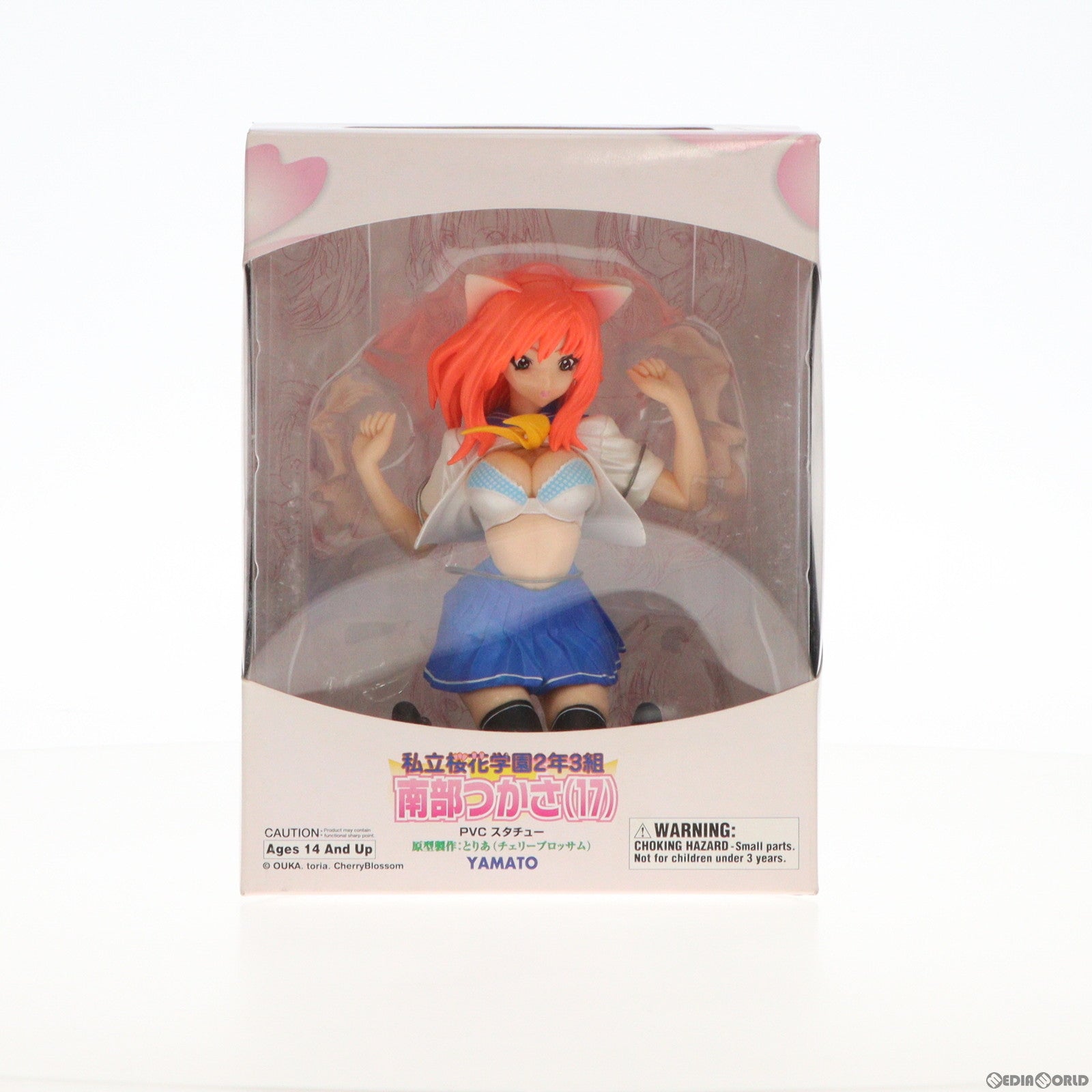 【中古即納】[FIG] 南部つかさ(17) 私立桜花学園2年3組 完成品 フィギュア YAMATO(やまと)(19991231)
