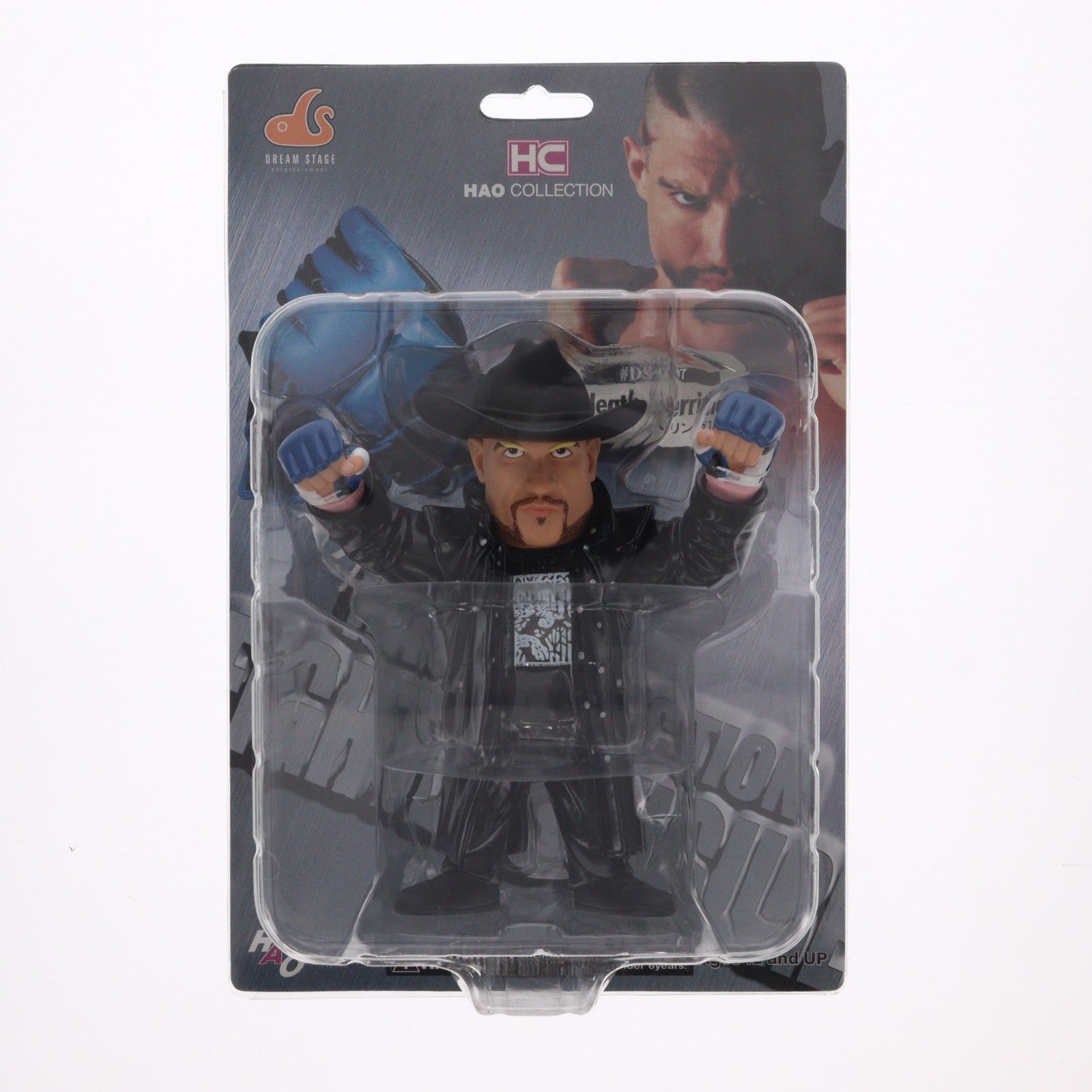 【中古即納】[SFT] HAO COLLECTION(ハオ コレクション) ファイターズフィギュア リミテッドモデル ヒース・ヒーリング 完成品 ソフビフィギュア(DS-007) HAO ARTS OFFICE(19991231)