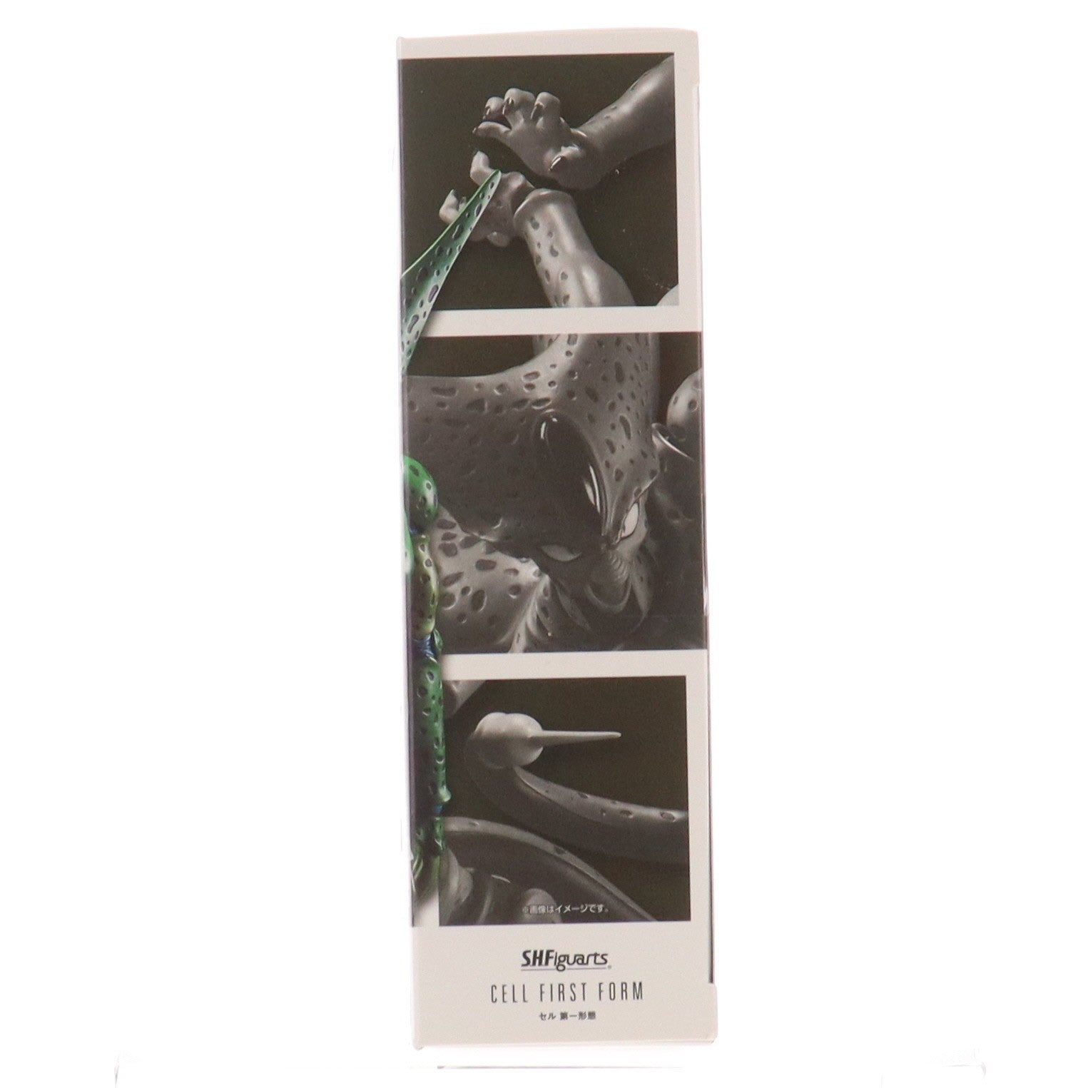 【中古即納】[FIG] S.H.Figuarts(フィギュアーツ) セル 第一形態 ドラゴンボールZ 完成品 可動フィギュア バンダイスピリッツ(20220827)