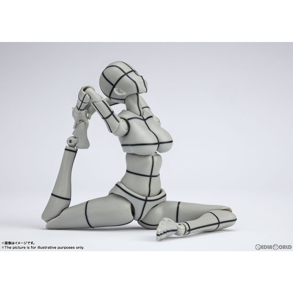 【新品即納】[FIG] (再販) S.H.Figuarts(フィギュアーツ) ボディちゃん -矢吹健太朗- Edition ワイヤーフレーム(Gray Color Ver.) ボディくん/ボディちゃんシリーズ 完成品 可動フィギュア バンダイスピリッツ(20240720)