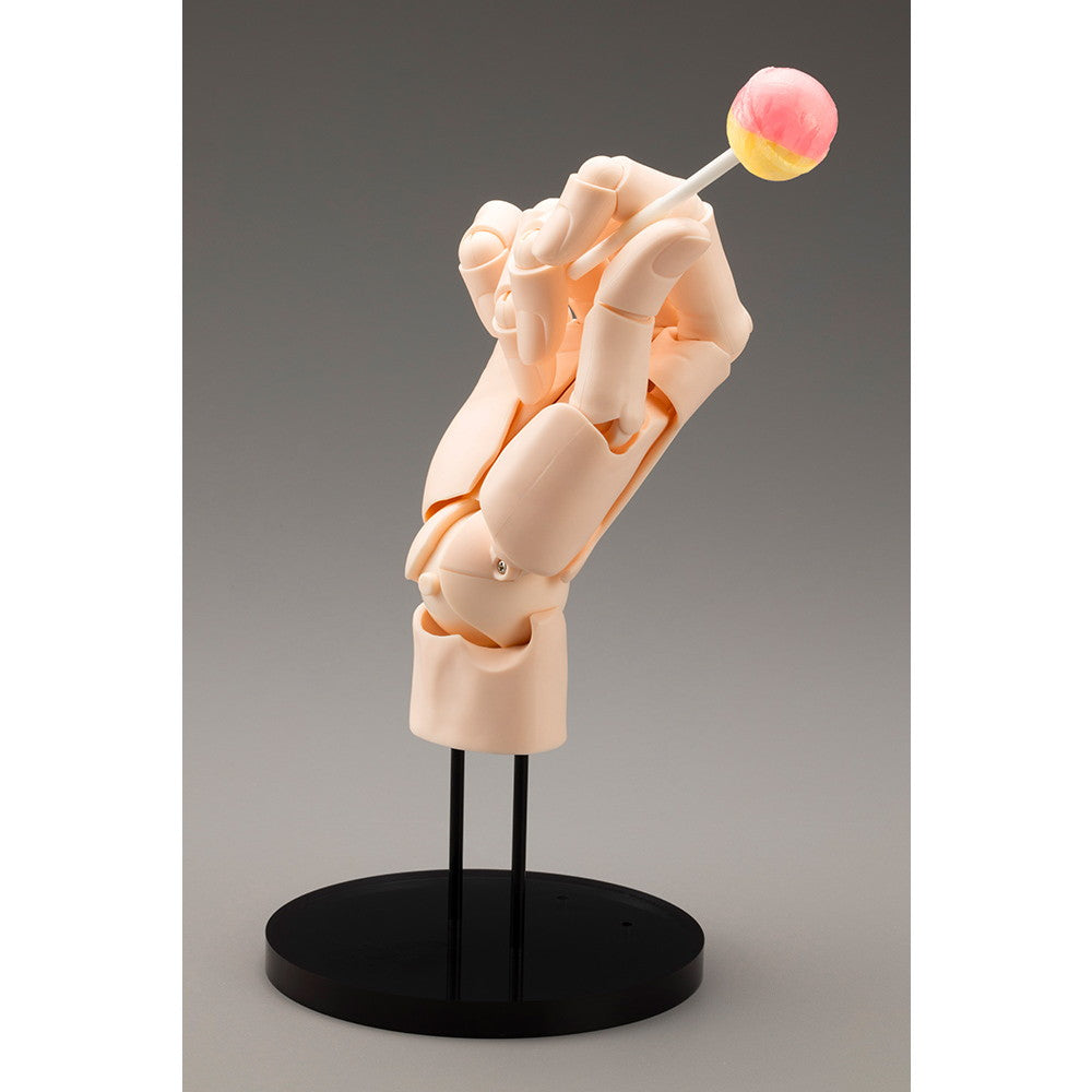【中古即納】[FIG] ARTIST SUPPORT ITEM ハンドモデル/R -PALE ORANGE- 1/1 完成品 可動フィギュア(AT021) コトブキヤ(20241221)