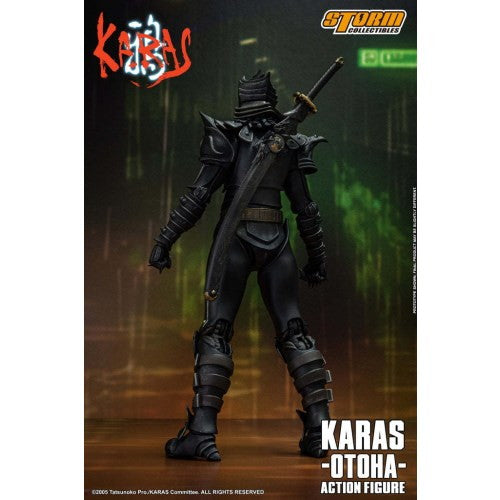 【新品即納】[FIG] TSKW01 鴉(乙羽)(からす おとは) 鴉-KARAS- 1/12 完成品 可動フィギュア Storm Toys(ストームトイズ)(20250531)