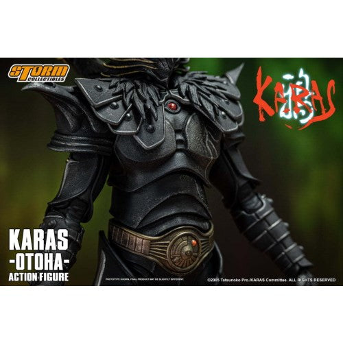 Storm Toys TSKW01 鴉-KARAS- 鴉(乙羽) 1/12スケール可動