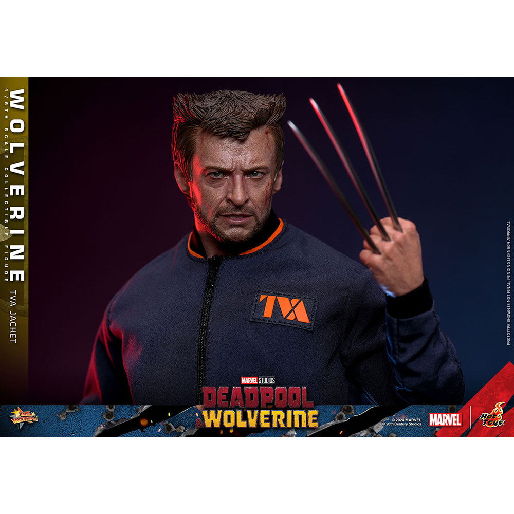 【中古即納】[FIG] ムービー・マスターピース ウルヴァリン(TVAジャケット版) デッドプール&ウルヴァリン 1/6 完成品 可動フィギュア(MM#756) ホットトイズ(20251130)