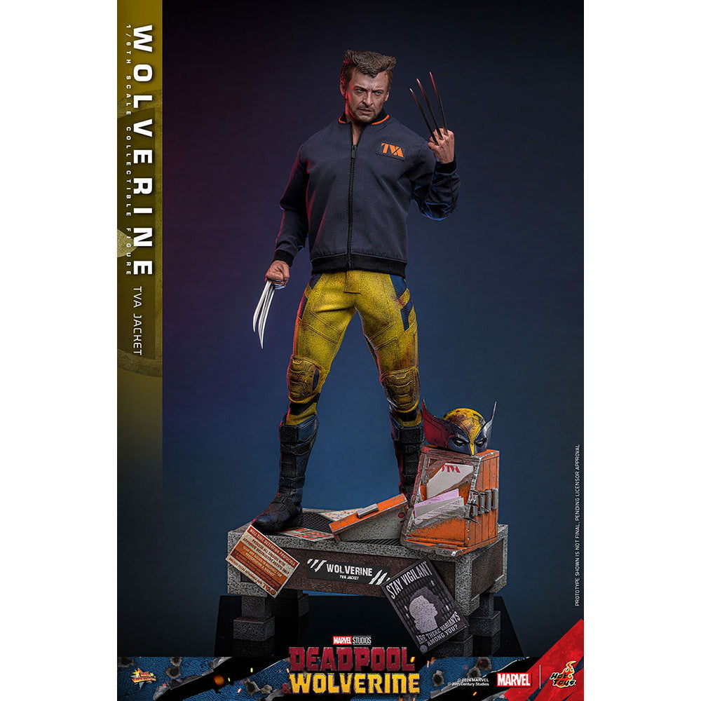 【中古即納】[FIG] ムービー・マスターピース ウルヴァリン(TVAジャケット版) デッドプール&ウルヴァリン 1/6 完成品 可動フィギュア(MM#756) ホットトイズ(20251130)
