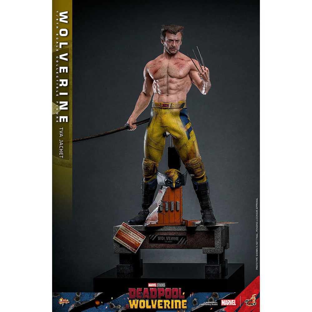 【中古即納】[FIG] ムービー・マスターピース ウルヴァリン(TVAジャケット版) デッドプール&ウルヴァリン 1/6 完成品 可動フィギュア(MM#756) ホットトイズ(20251130)