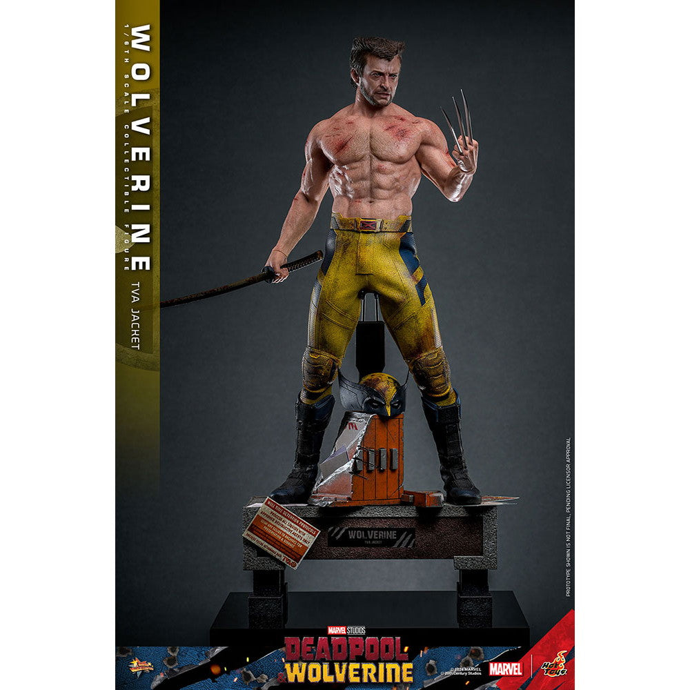 【中古即納】[FIG] ムービー・マスターピース ウルヴァリン(TVAジャケット版) デッドプール&ウルヴァリン 1/6 完成品 可動フィギュア(MM#756) ホットトイズ(20251130)