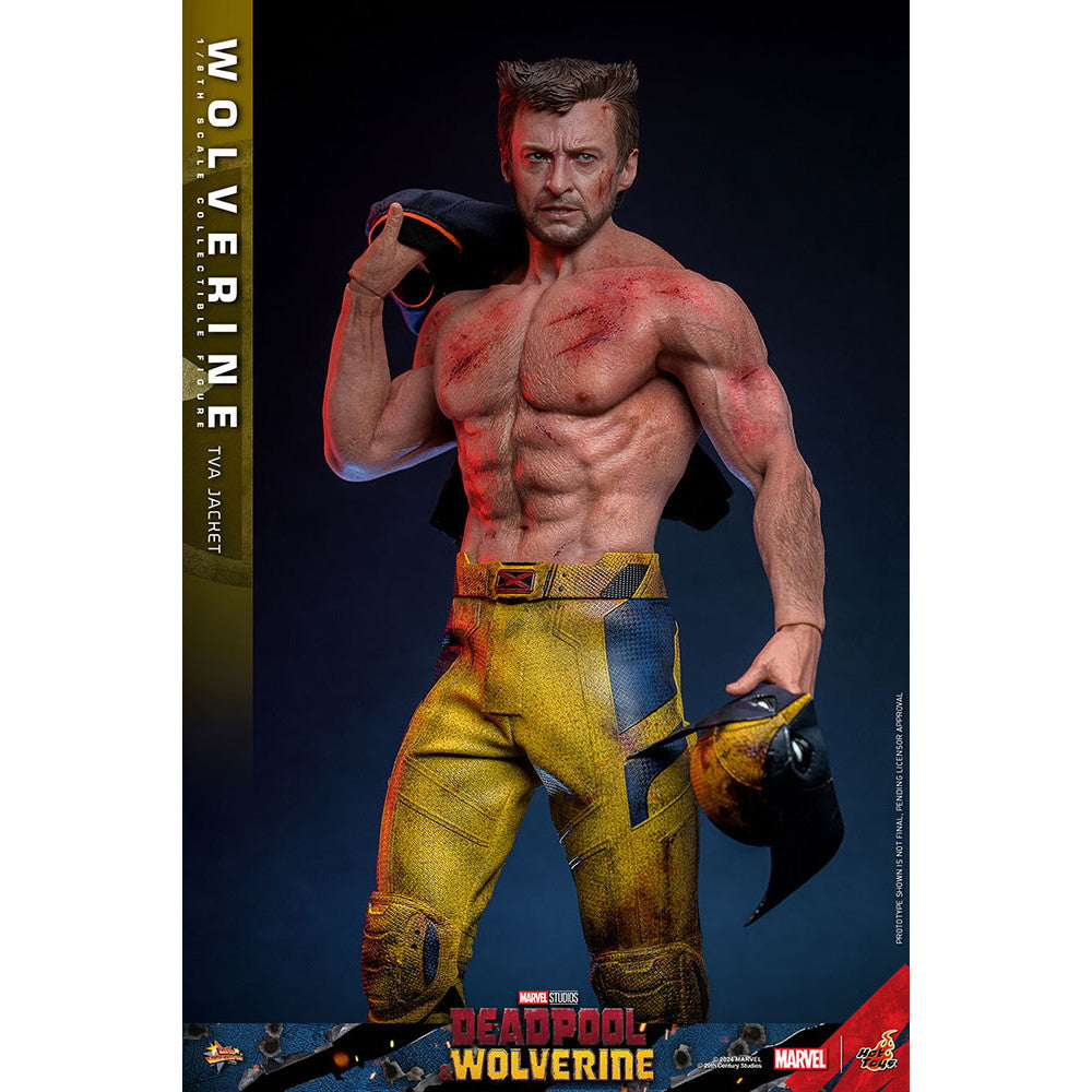 【中古即納】[FIG] ムービー・マスターピース ウルヴァリン(TVAジャケット版) デッドプール&ウルヴァリン 1/6 完成品 可動フィギュア(MM#756) ホットトイズ(20251130)
