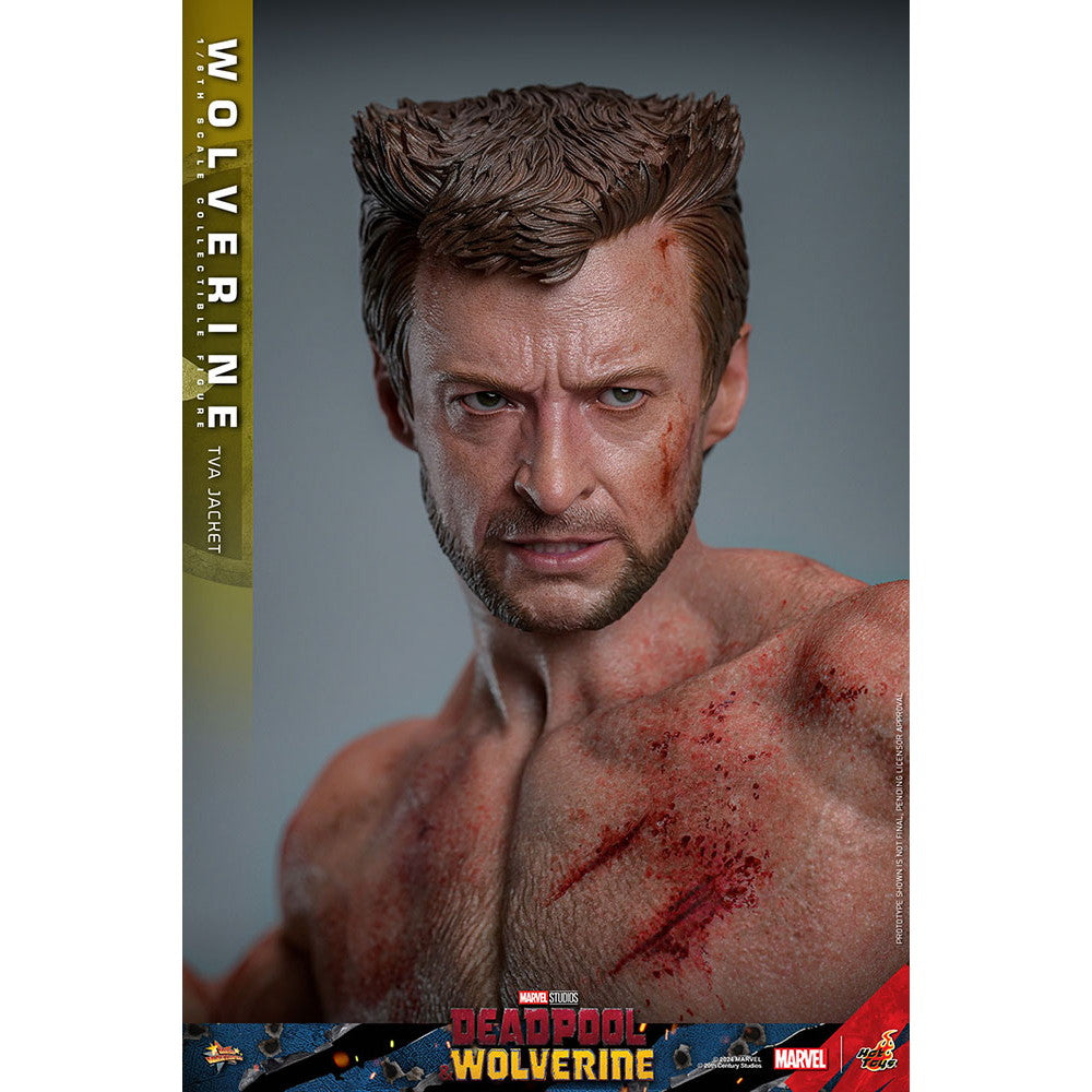 【中古即納】[FIG] ムービー・マスターピース ウルヴァリン(TVAジャケット版) デッドプール&ウルヴァリン 1/6 完成品 可動フィギュア(MM#756) ホットトイズ(20251130)
