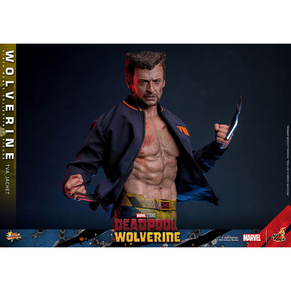 【中古即納】[FIG] ムービー・マスターピース ウルヴァリン(TVAジャケット版) デッドプール&ウルヴァリン 1/6 完成品 可動フィギュア(MM#756) ホットトイズ(20251130)