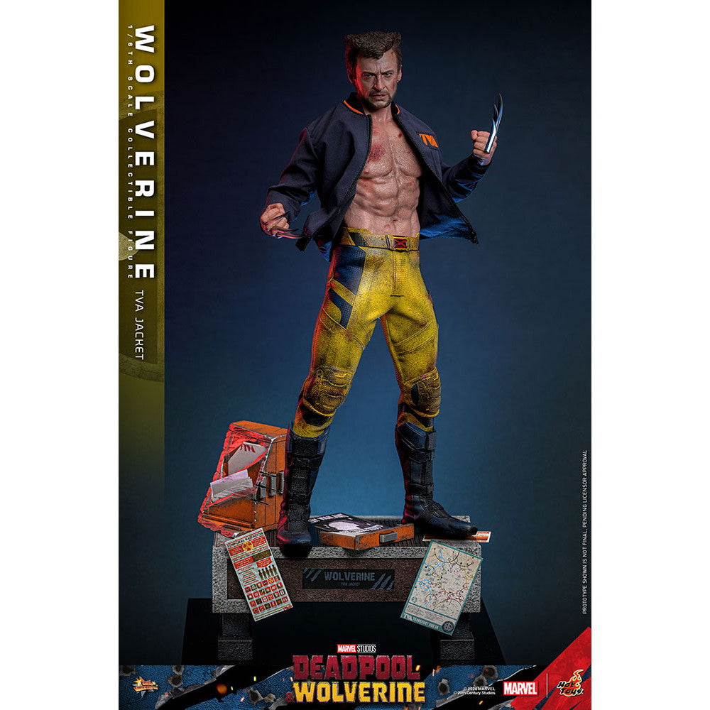 【中古即納】[FIG] ムービー・マスターピース ウルヴァリン(TVAジャケット版) デッドプール&ウルヴァリン 1/6 完成品 可動フィギュア(MM#756) ホットトイズ(20251130)