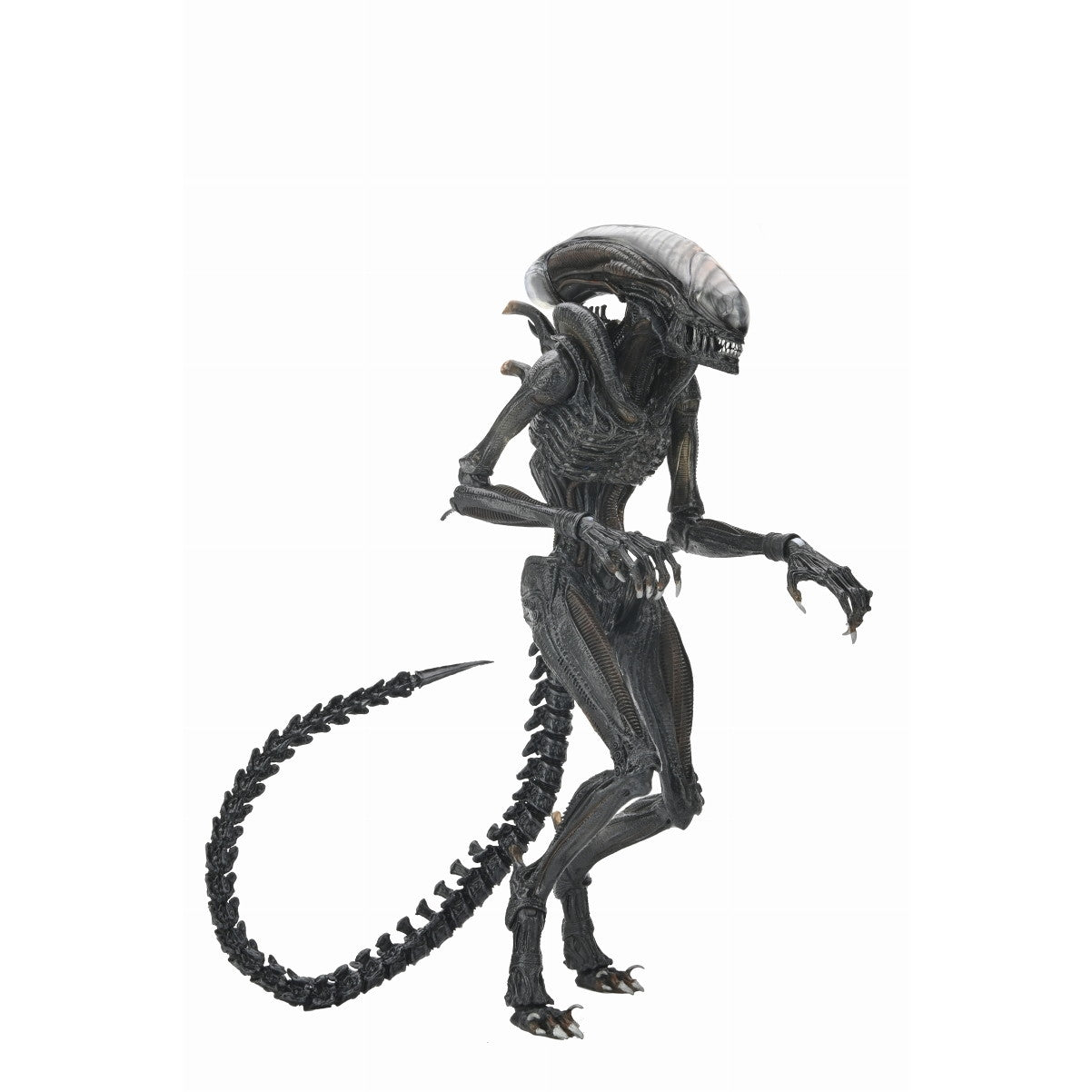 【新品即納】[FIG] スコーチド ゼノモーフ エイリアン:ロムルス 完成品 アルティメット 7インチ アクションフィギュア ネカ(20250130)