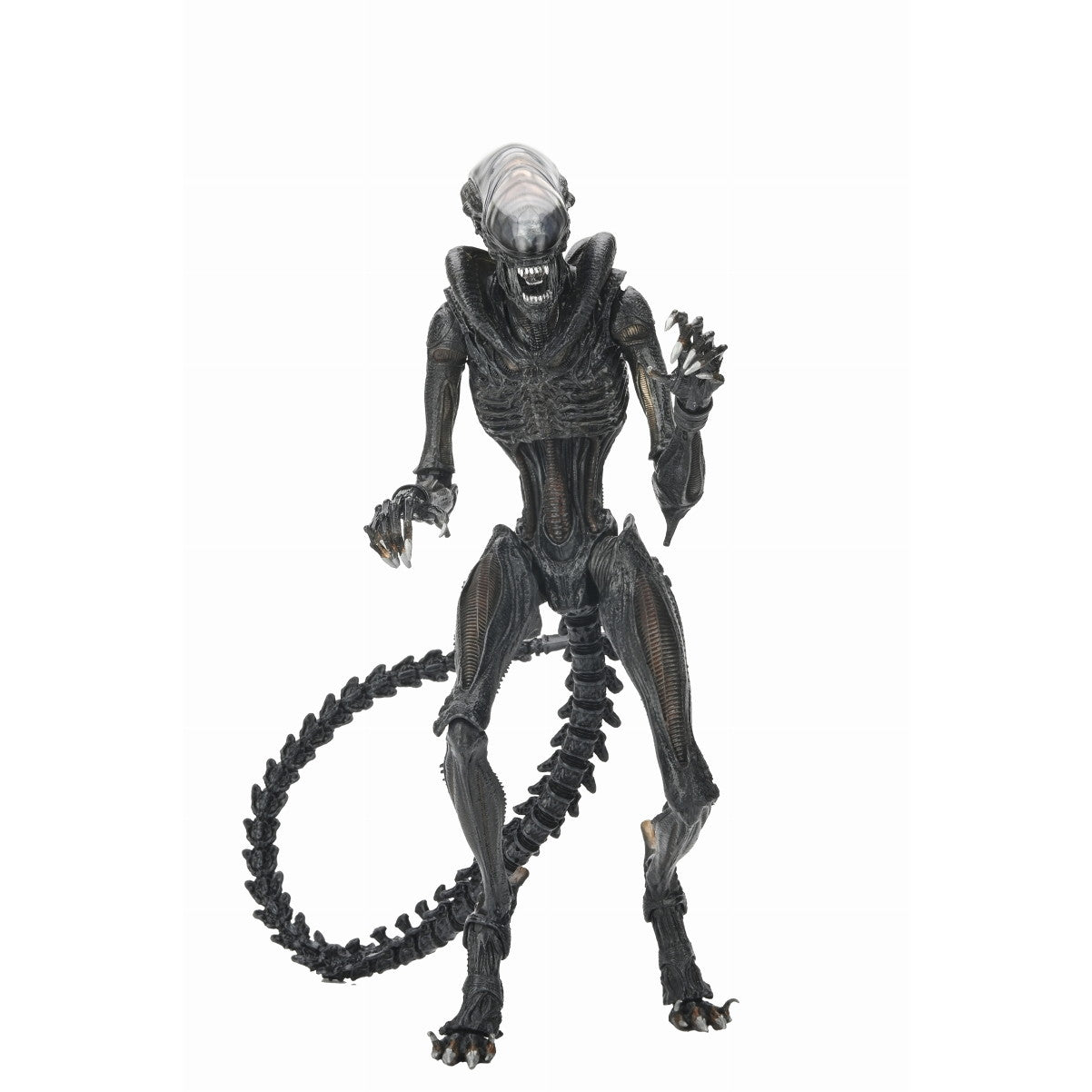 新品即納】[FIG]スコーチド ゼノモーフ エイリアン:ロムルス 完成品 