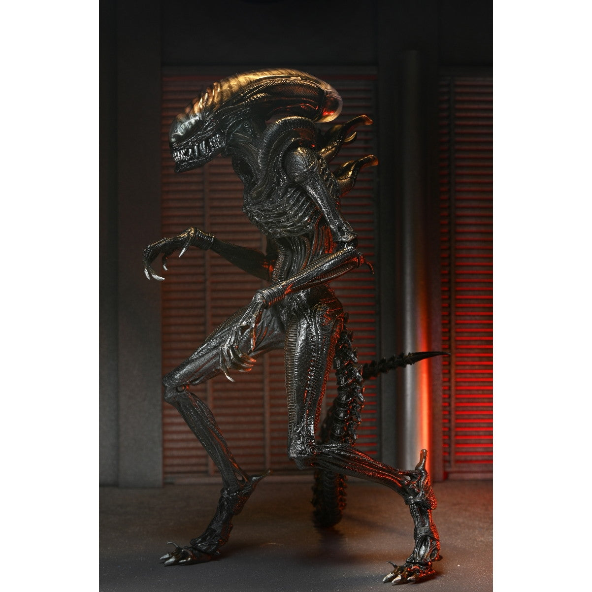 【新品即納】[FIG] スコーチド ゼノモーフ エイリアン:ロムルス 完成品 アルティメット 7インチ アクションフィギュア ネカ(20250130)