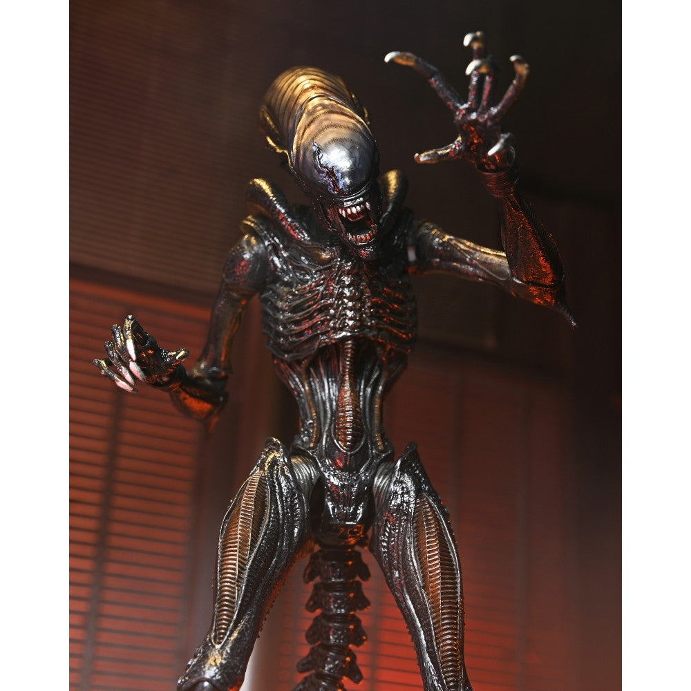 【新品即納】[FIG] スコーチド ゼノモーフ エイリアン:ロムルス 完成品 アルティメット 7インチ アクションフィギュア ネカ(20250130)