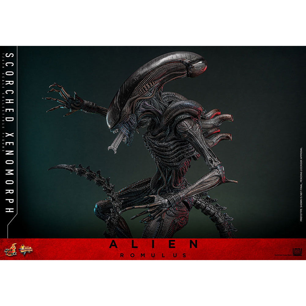 【中古即納】[FIG] ムービー・マスターピース スコーチド・ゼノモーフ エイリアン:ロムルス 1/6 完成品 可動フィギュア(MM#784) ホットトイズ(20260131)