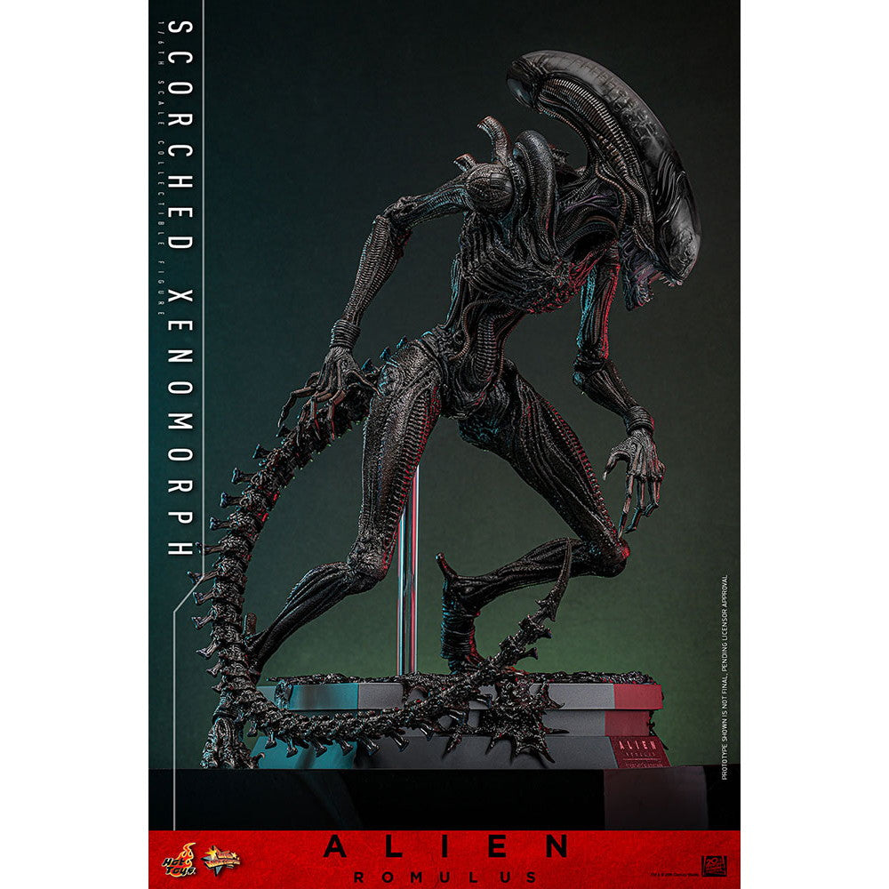 【中古即納】[FIG] ムービー・マスターピース スコーチド・ゼノモーフ エイリアン:ロムルス 1/6 完成品 可動フィギュア(MM#784) ホットトイズ(20260131)