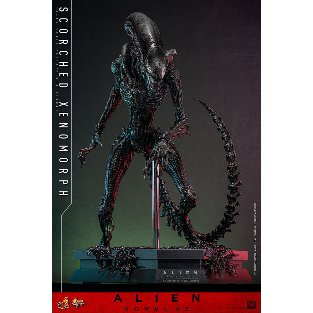 【中古即納】[FIG] ムービー・マスターピース スコーチド・ゼノモーフ エイリアン:ロムルス 1/6 完成品 可動フィギュア(MM#784) ホットトイズ(20260131)
