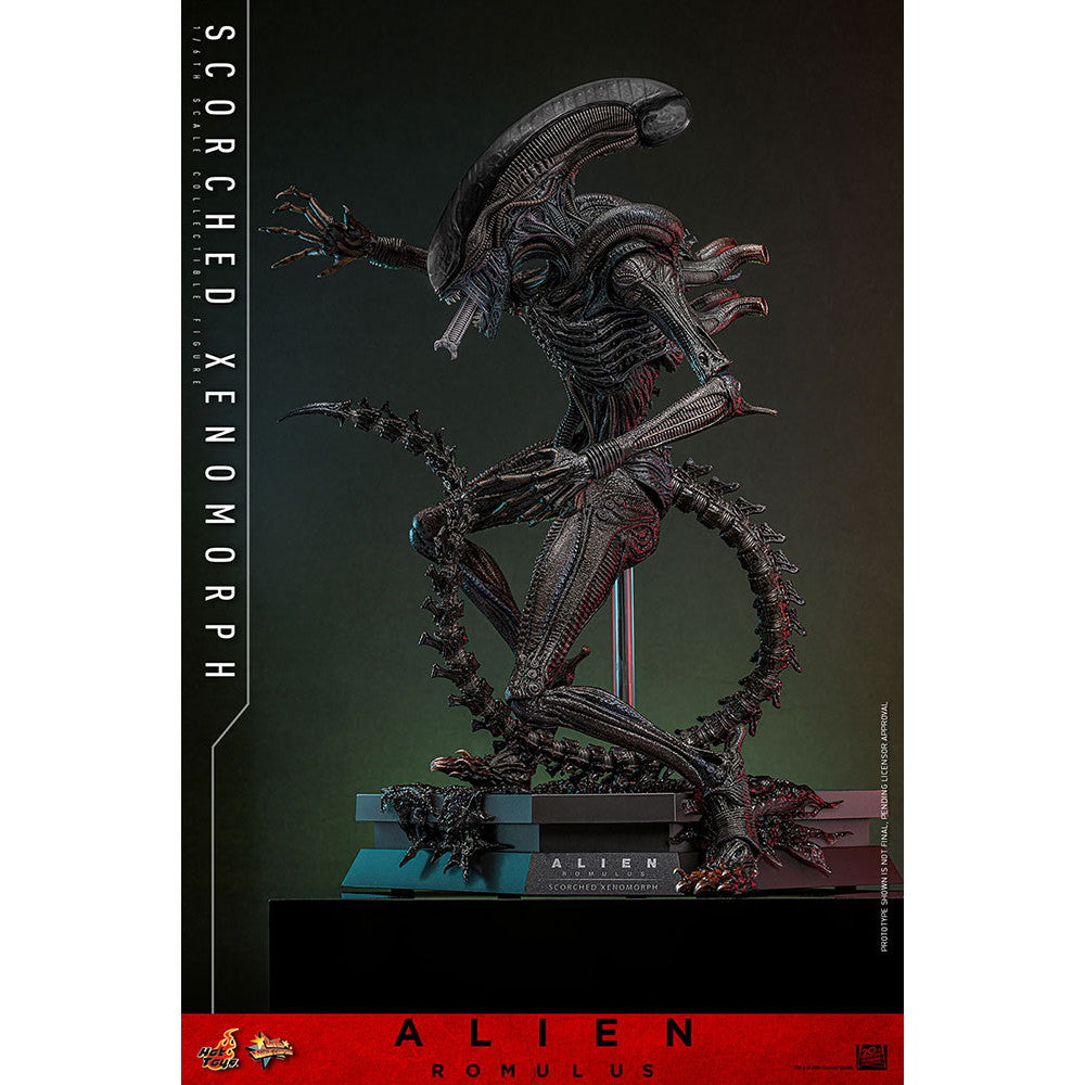 【中古即納】[FIG] ムービー・マスターピース スコーチド・ゼノモーフ エイリアン:ロムルス 1/6 完成品 可動フィギュア(MM#784) ホットトイズ(20260131)