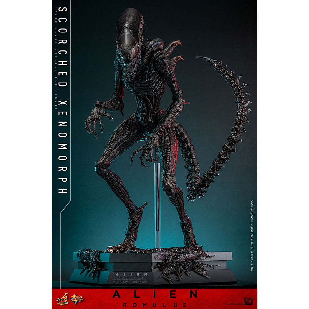 【中古即納】[FIG] ムービー・マスターピース スコーチド・ゼノモーフ エイリアン:ロムルス 1/6 完成品 可動フィギュア(MM#784) ホットトイズ(20260131)