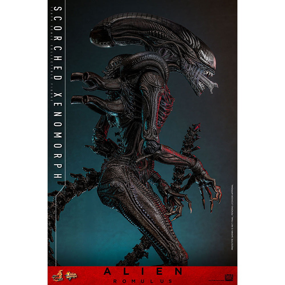 【中古即納】[FIG] ムービー・マスターピース スコーチド・ゼノモーフ エイリアン:ロムルス 1/6 完成品 可動フィギュア(MM#784) ホットトイズ(20260131)