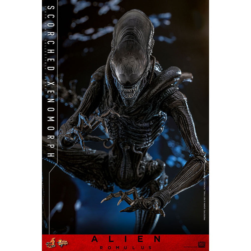 【中古即納】[FIG] ムービー・マスターピース スコーチド・ゼノモーフ エイリアン:ロムルス 1/6 完成品 可動フィギュア(MM#784) ホットトイズ(20260131)