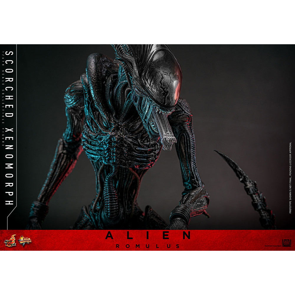 【中古即納】[FIG] ムービー・マスターピース スコーチド・ゼノモーフ エイリアン:ロムルス 1/6 完成品 可動フィギュア(MM#784) ホットトイズ(20260131)