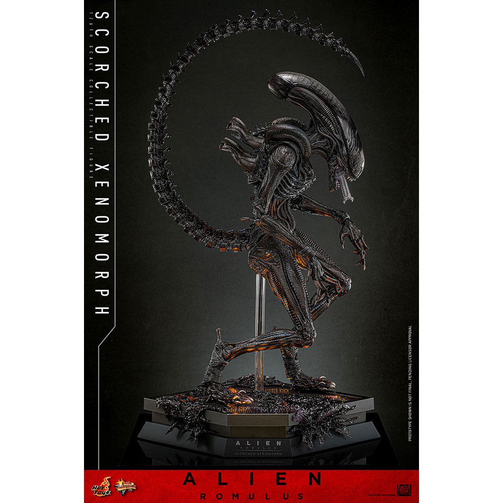 【中古即納】[FIG] ムービー・マスターピース スコーチド・ゼノモーフ エイリアン:ロムルス 1/6 完成品 可動フィギュア(MM#784) ホットトイズ(20260131)