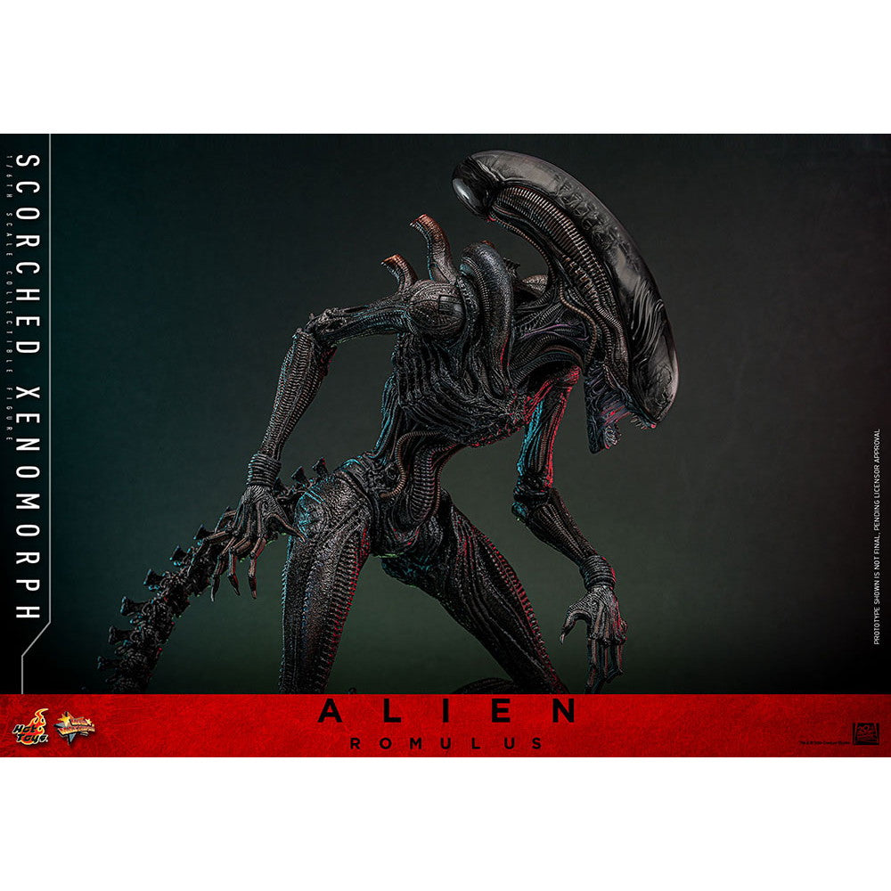 【中古即納】[FIG] ムービー・マスターピース スコーチド・ゼノモーフ エイリアン:ロムルス 1/6 完成品 可動フィギュア(MM#784) ホットトイズ(20260131)