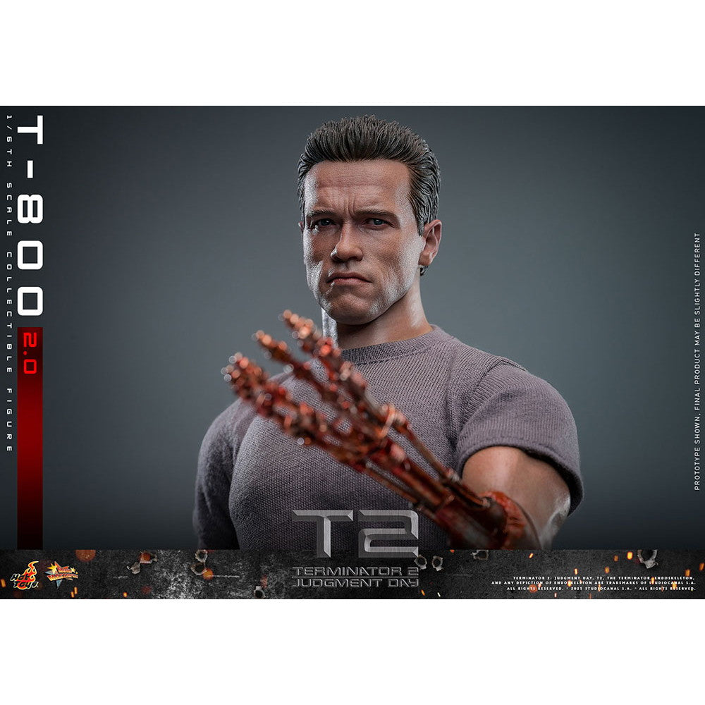 【予約安心出荷】[FIG] ムービー・マスターピース T-800(2.0版) ターミネーター2 1/6 完成品 可動フィギュア(MM#795) ホットトイズ(2025年10月)