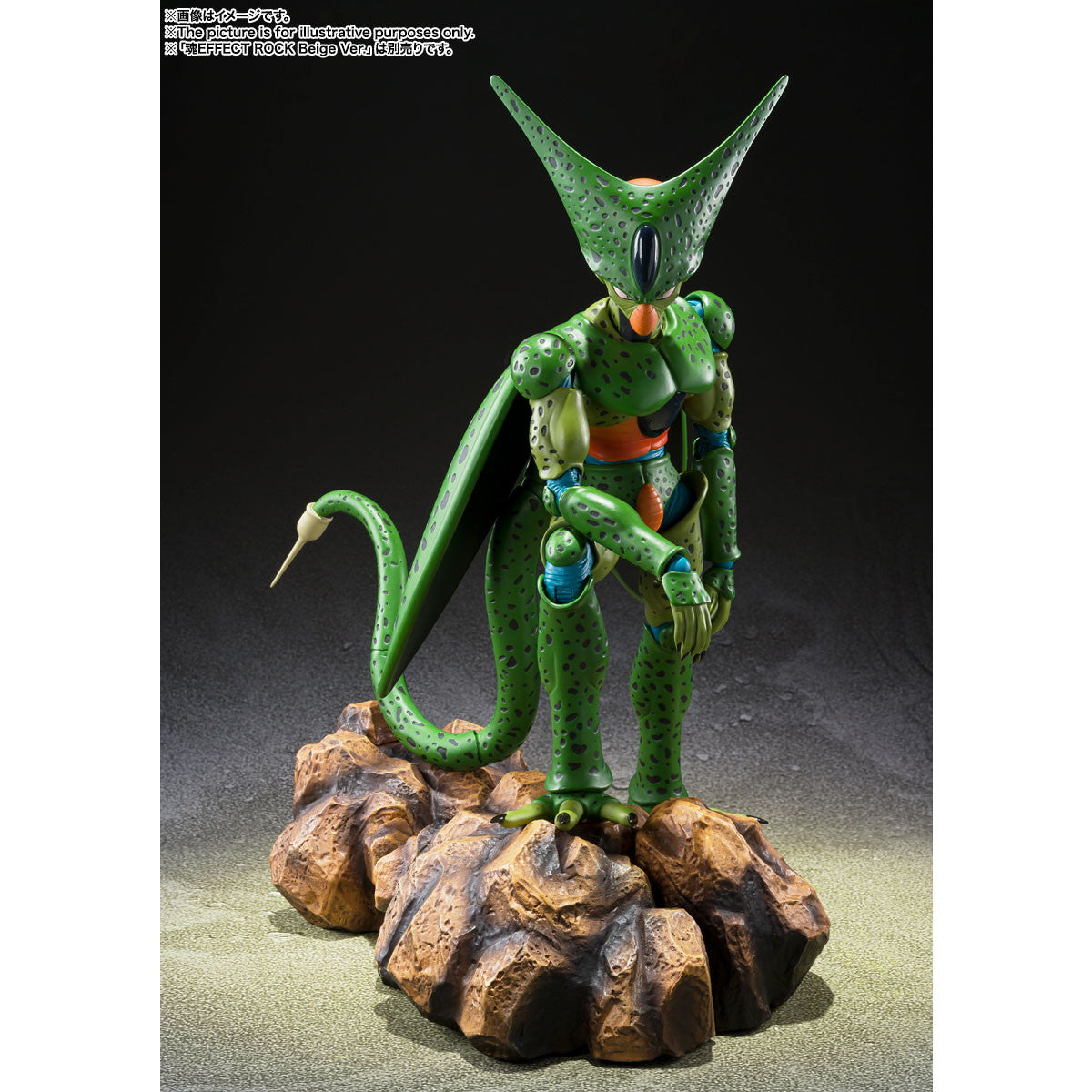 BANDAI - バンダイスピリッツ S．H．Figuarts セル 第一形態 SHFセルダイイチ 予約受付商品】S.H.Figuarts セル 第一形態【出荷予定日：2025年