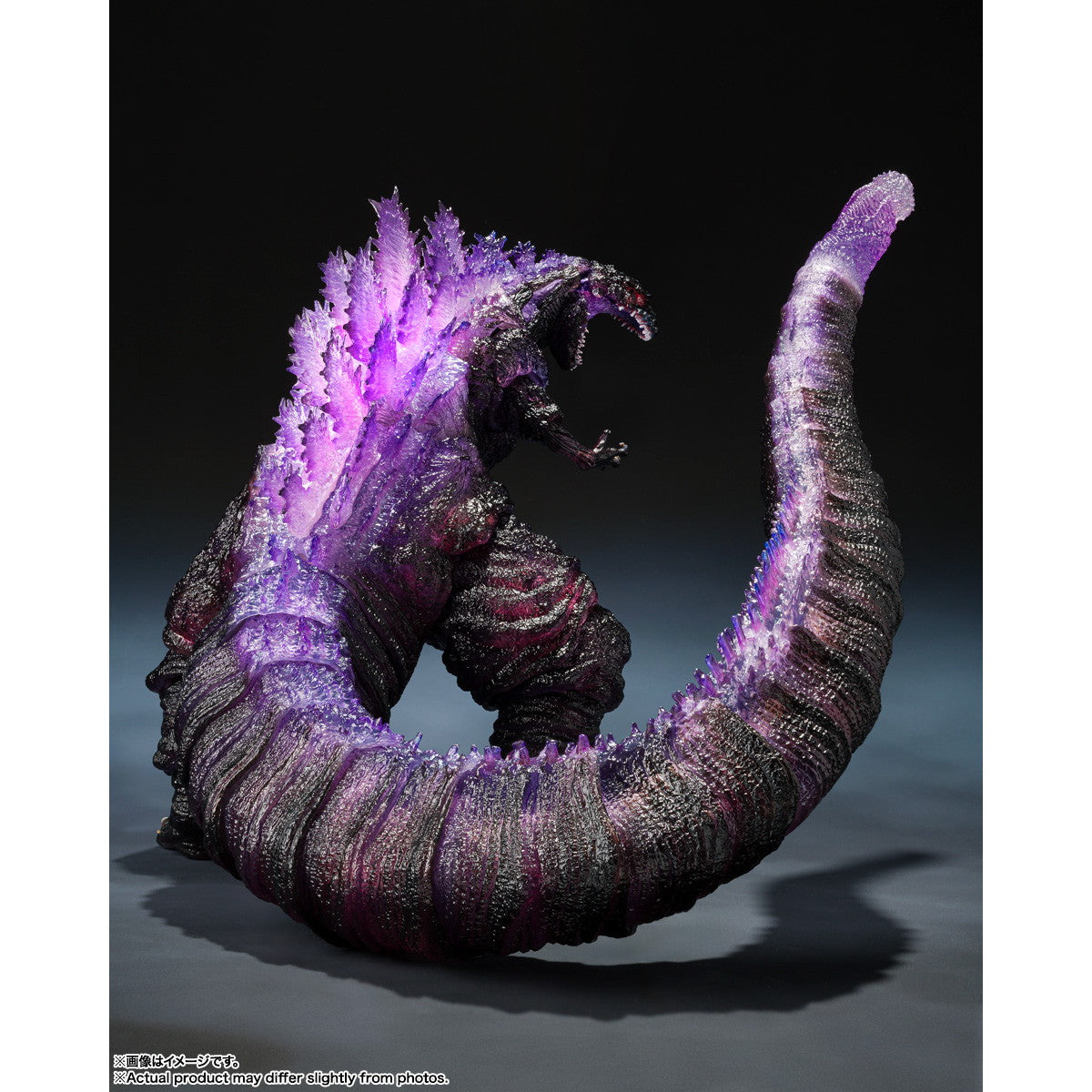同人写真集　CDソフト　animal / Fashion MONSTER Shout At The Kenny