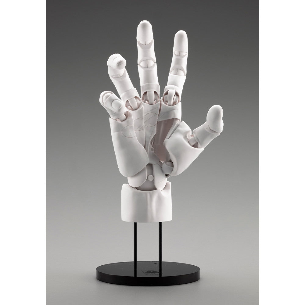 【予約安心出荷】[FIG] ARTIST SUPPORT ITEM ハンドモデルMEN'S/R -WHITE- 1/1 完成品 可動フィギュア(AT038) コトブキヤ(2025年12月)