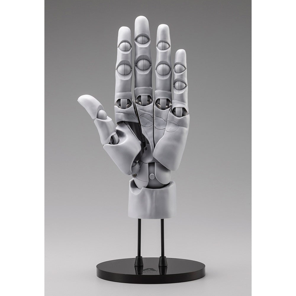 【予約安心出荷】[FIG] (再販) ARTIST SUPPORT ITEM ハンドモデル/L -GRAY- 1/1 完成品 可動フィギュア(AT035) コトブキヤ(2026年9月)