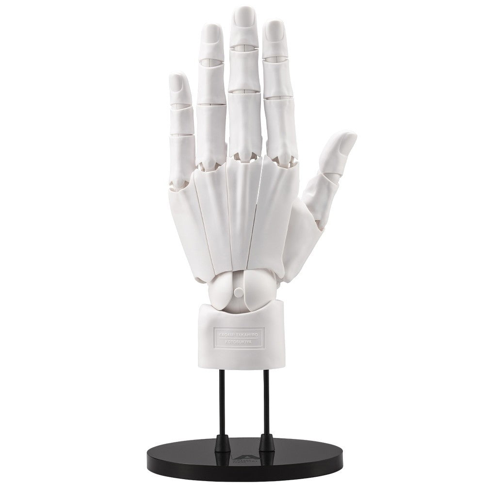 【予約安心出荷】[FIG] (再販) ARTIST SUPPORT ITEM ハンドモデル/L -WHITE- 1/1 完成品 可動フィギュア(AT036) コトブキヤ(2026年9月)