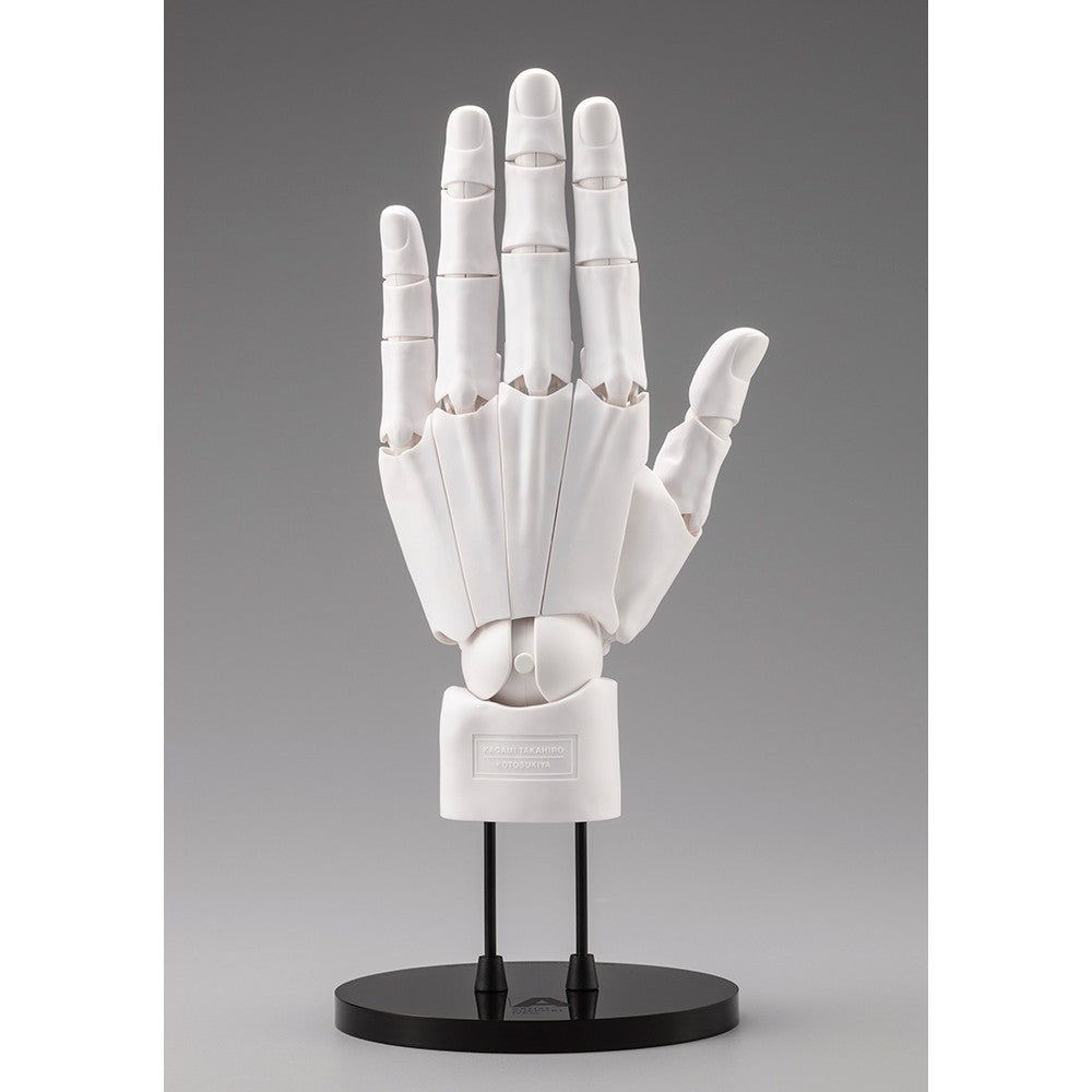 【予約安心出荷】[FIG] (再販) ARTIST SUPPORT ITEM ハンドモデル/L -WHITE- 1/1 完成品 可動フィギュア(AT036) コトブキヤ(2026年9月)